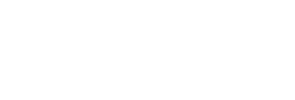 BizpaL Logo